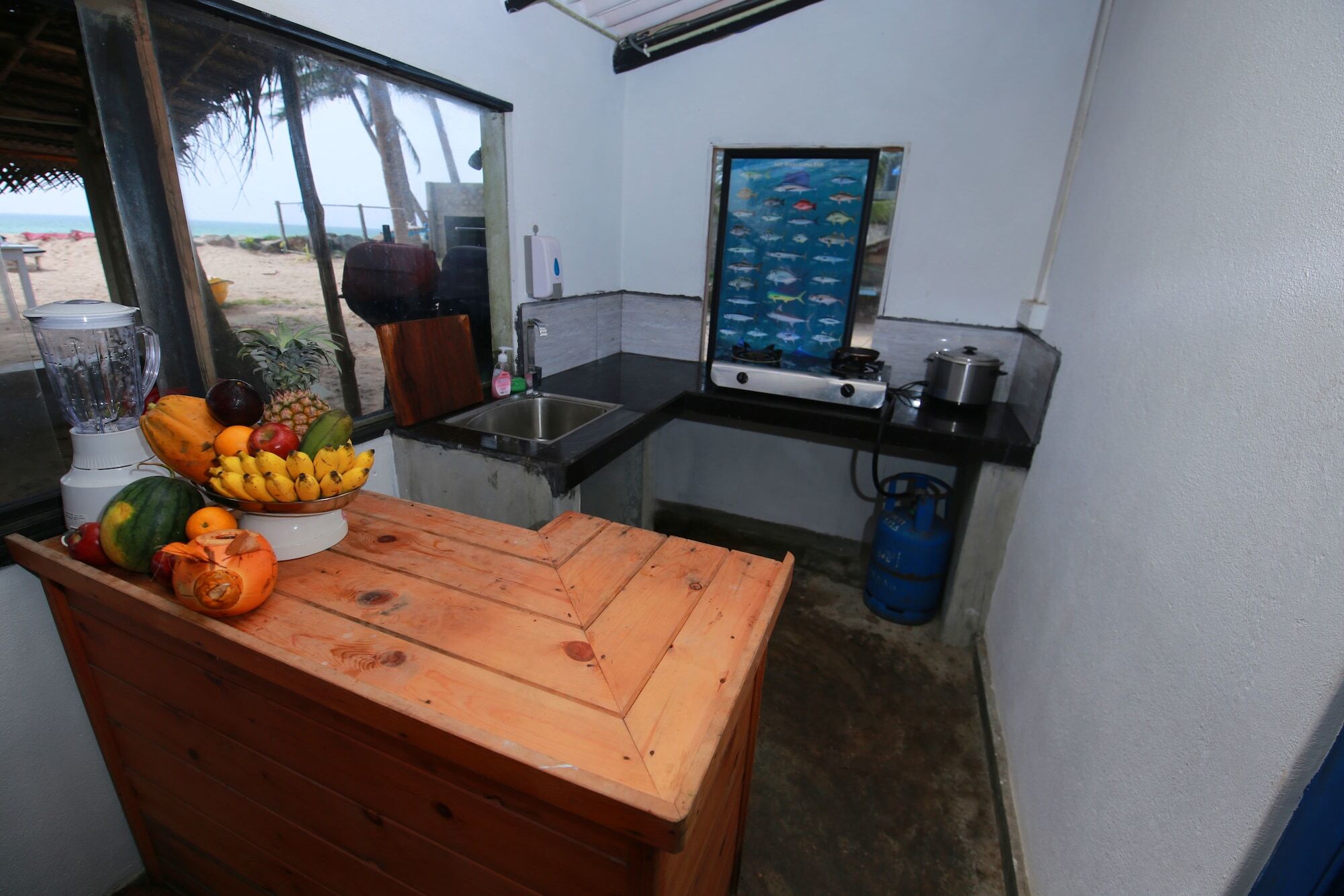 Bluefin Adventure And Deep Sea Fishing Hostel ฮิกคาดูวา ภายนอก รูปภาพ